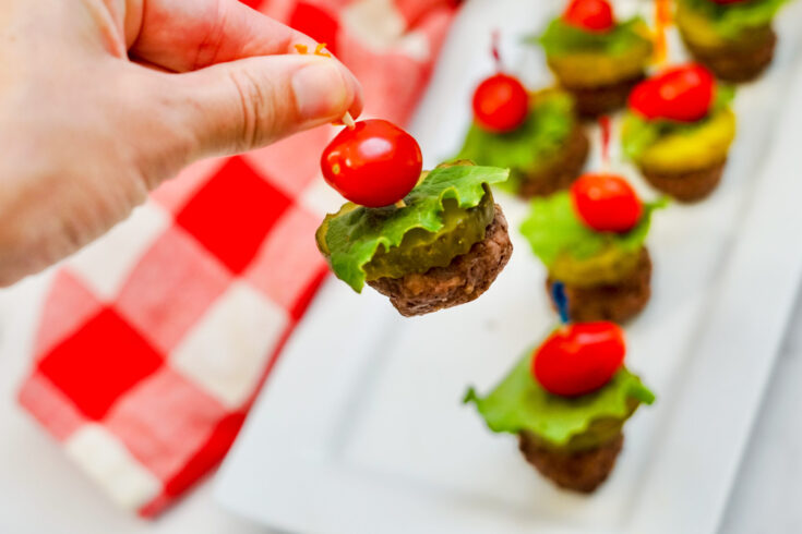 Air Fryer Burger Bites