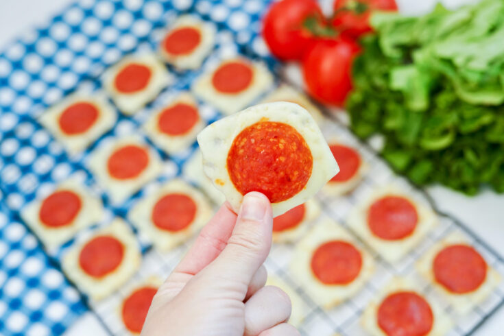Air Fryer Pepperoni Chips