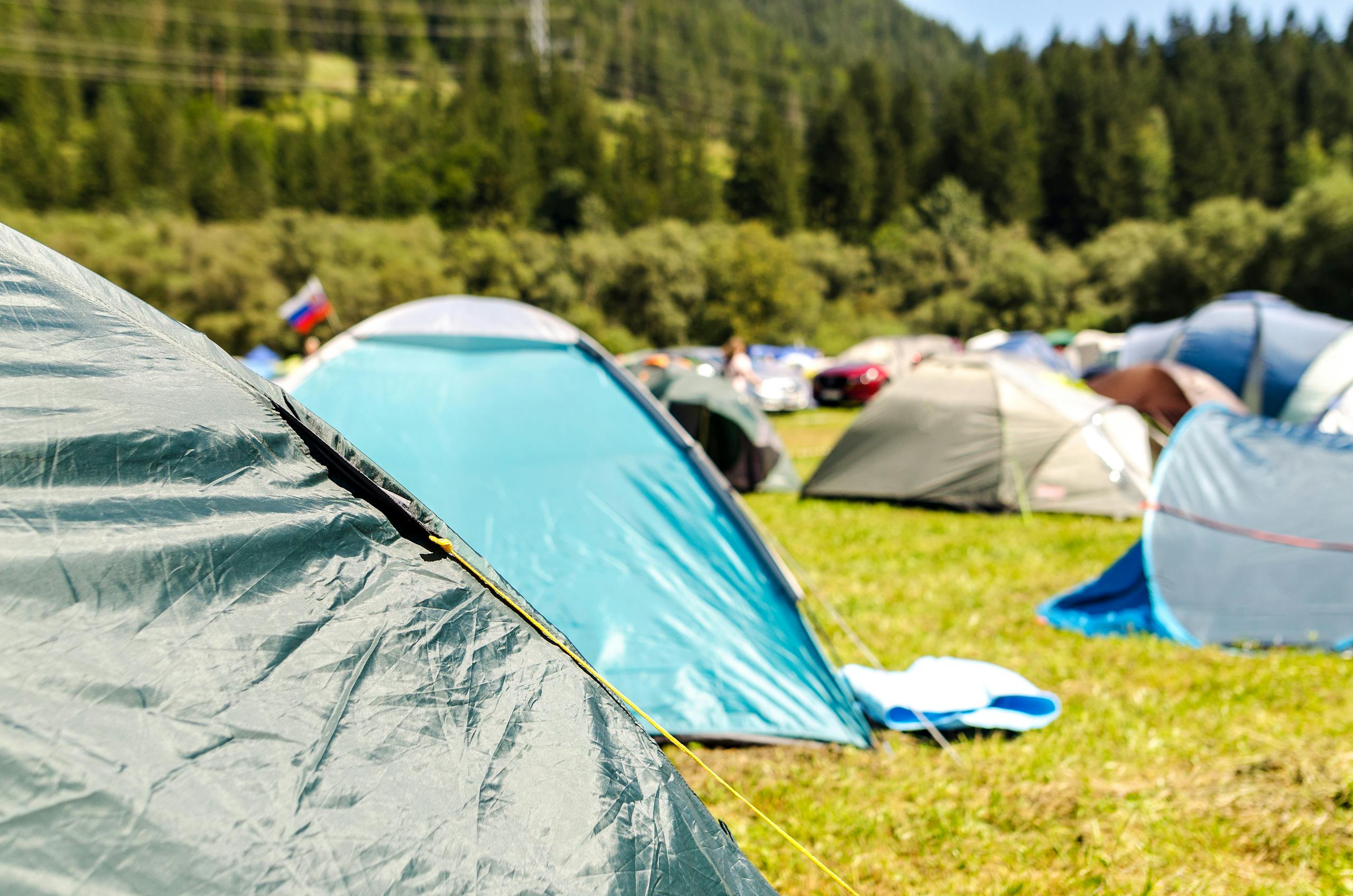 Tents Surrounded by Trees
